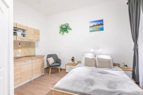 Central Simple Studio 1081 Budapest, Rákóczi út 61 kép - 3
