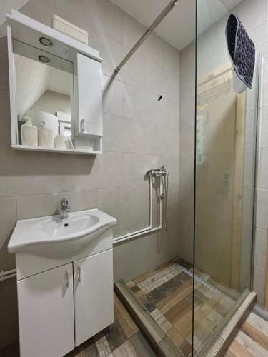 a bathroom with a sink and a glass shower at Villa Pejovic in Žabljak