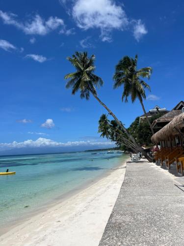 a beach with palm trees and the ocean at Lucia Guesthouse in San Juan