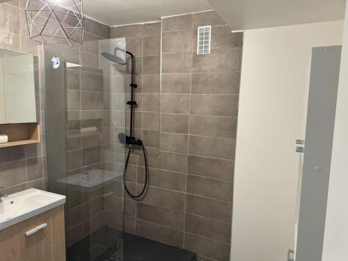 une salle de bain avec douche et lavabo dans l'établissement Charmant T2 à Maisons Alfort - Tout meublé neuf, à Maisons-Alfort