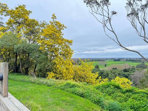 a wooden bench on a grassy hill with trees at Delight Accommodation in Palmerston North
