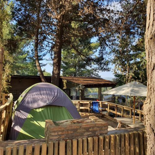 a tent and umbrella in a yard next to a fence at Glamping Puertecillo Surf & Camp in Puertecillo