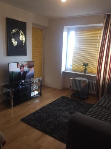 a living room with a couch and a television at Alpblick - Apartment mit kostenlosen Parkplätzen!! in Taufkirchen