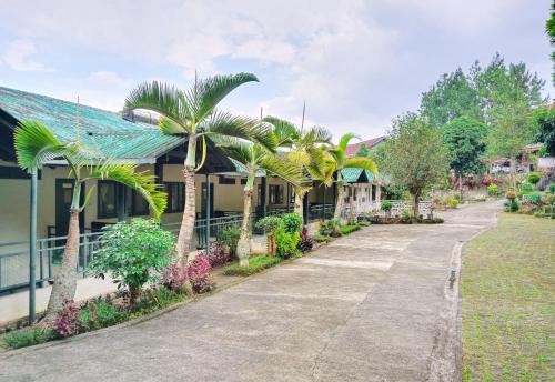 a street with palm trees in front of a house at Hotel Grand Astoeti in Kopo 2