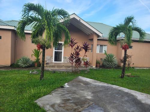 a house with two palm trees in front of it at Diamond Villa in Brighton Village