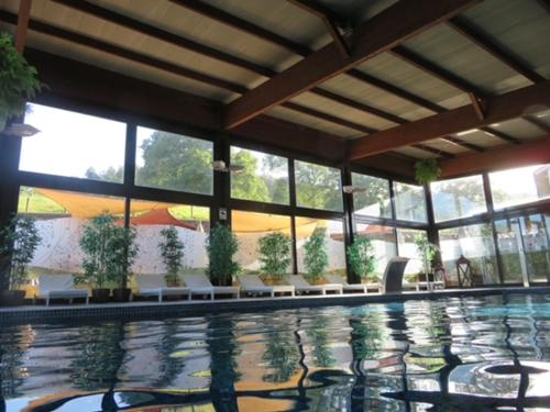 a large swimming pool with potted plants in a building at La Piconera Hotel & Spa in Ribadesella