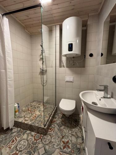 a bathroom with a shower and a toilet and a sink at Cozy city apartments in Roja with free parking in Roja
