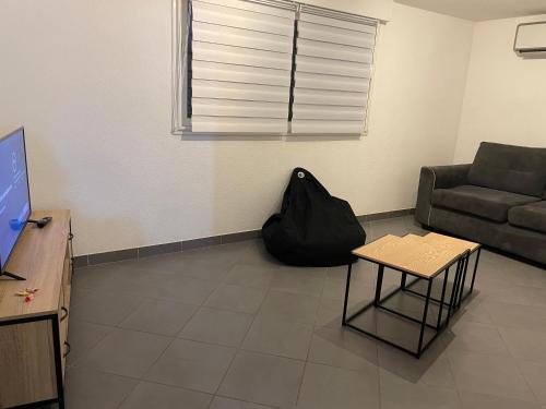 un salon avec un canapé et une table dans l'établissement T2 N3 Hyper-centre climatisé parking, à Albi