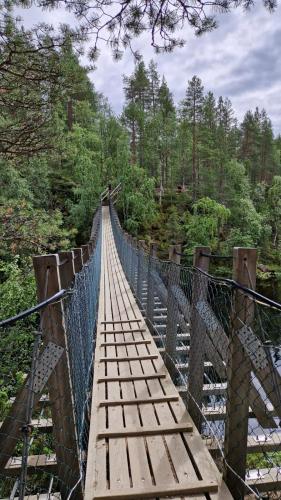 a suspension bridge over a river in a forest at Ruka Star in Ruka