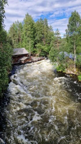 a river with rapids in the middle of a forest at Ruka Star in Ruka