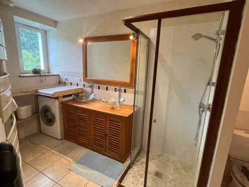 a bathroom with a sink and a washing machine at Appartement 5 personnes avec espace plein air in Saint-Maurice-sur-Moselle