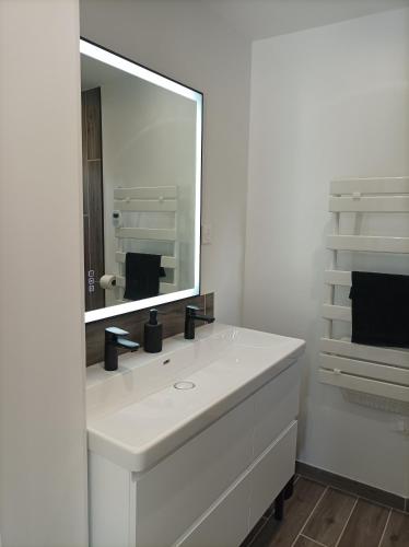 La salle de bains est pourvue d'un lavabo blanc et d'un grand miroir. dans l'établissement L' Har & Lam, à Leuilly-sous-Coucy