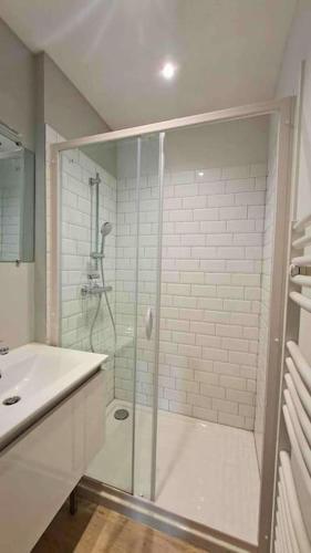 une salle de bain avec douche et lavabo dans l'établissement Vivent 5 - Studio Agen, à Agen
