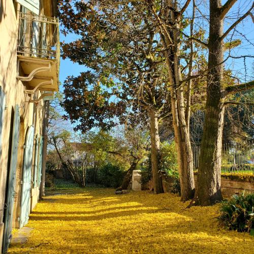une cour avec des arbres sur le côté d'une maison dans l'établissement La Villa du Portail, à Le Passage