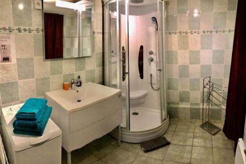 ein Badezimmer mit Dusche, Waschbecken und Toilette in der Unterkunft Résidence Armagnac - City Center in Carcassonne