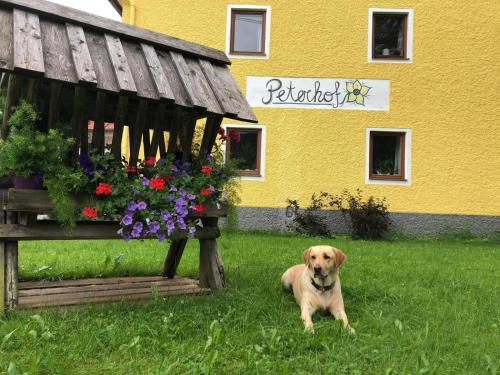 Peterhof – komm als Gast & geh als Freund