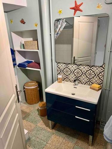 une salle de bain avec un lavabo et un miroir dans l'établissement Maison Bages d'Aude proche étang, à Bages