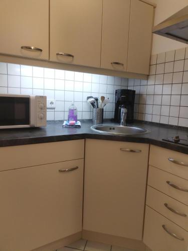 a kitchen with a sink and a microwave at Der Sonnenhof - Ferienwohnungen in Obermaiselstein