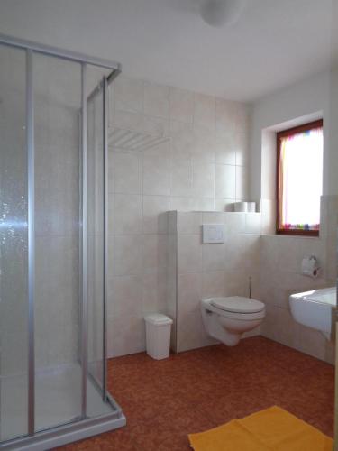 a bathroom with a shower and a toilet and a sink at Embacher Marianne - Rotharlhof in Hopfgarten im Brixental