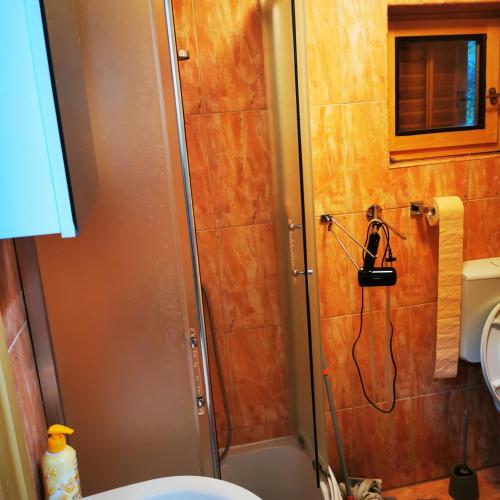 a bathroom with a shower with a hose on the wall at Kuća za odmor Tomislav in Trnovdc