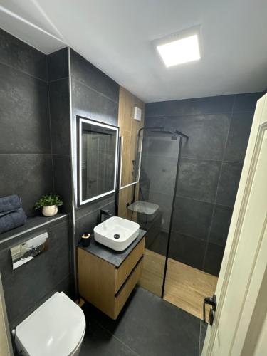 a bathroom with a toilet and a sink and a shower at Signature Residence in Mediaş