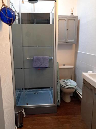 une salle de bain avec une douche en verre et des toilettes dans l'établissement AU 13 : FENETRES SUR ARROMANCHES, à Arromanches-les-Bains