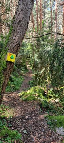 a trail in the woods with a sign on a tree at Duplex La Vinya in Barruera