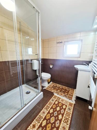 a bathroom with a shower and a toilet and a sink at La mosu Rovin in Borta