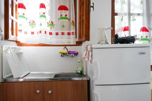 a kitchen with a sink and a white refrigerator at The Mesaktis River Rooms in Gialiskari