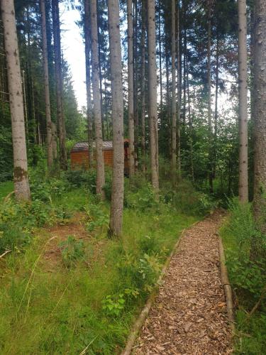 un chemin de terre dans une forêt avec des arbres dans l'établissement White wood lodge, à Nonville