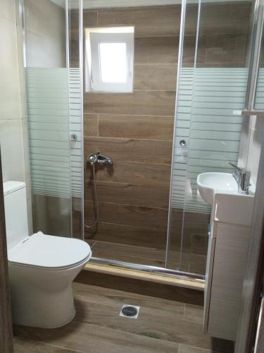 a bathroom with a shower and a toilet and a sink at Reniza House 2 in Neokhórion