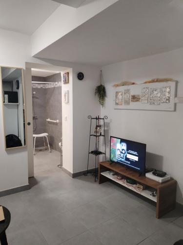 a living room with a television on a table at Magistic Handi in Perpignan