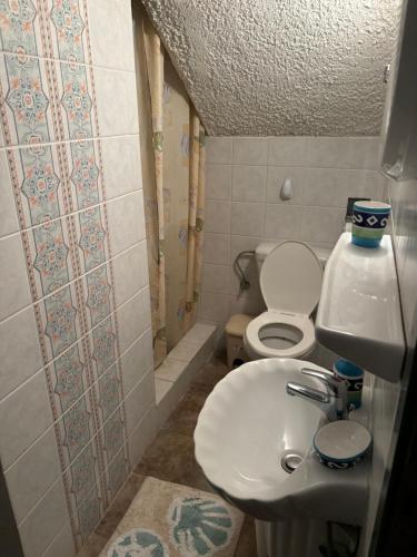 ネア・フォケアにあるGreen House in the Seaのトイレと洗面台のある小さなバスルーム