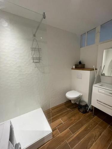 a white bathroom with a toilet and a sink at Appartement cosy à deux pas de la gare in Laval