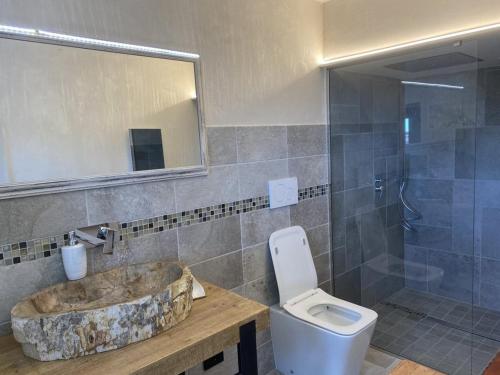 a bathroom with a sink and a toilet and a mirror at Chalet San Martino in Cantalupa