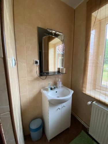 a bathroom with a sink and a mirror at Grackowo in Grabowo