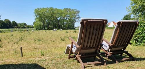 two rocking chairs sitting in a field with horses in the background at Vakantiehuis De Stokerij in Oudenburg