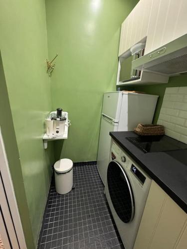 une petite cuisine avec des murs verts et une machine à laver dans l'établissement Appartement au cœur de Paris, à Paris