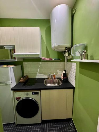Elle comprend une petite cuisine avec des murs verts et un évier. dans l'établissement Appartement au cœur de Paris, à Paris
