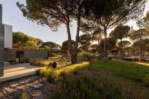 a dog standing in a garden with a building at The Pine Tree Comporta Villa in Carvalhal