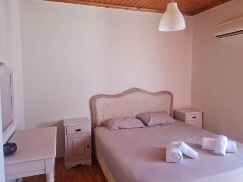 Antrias house
