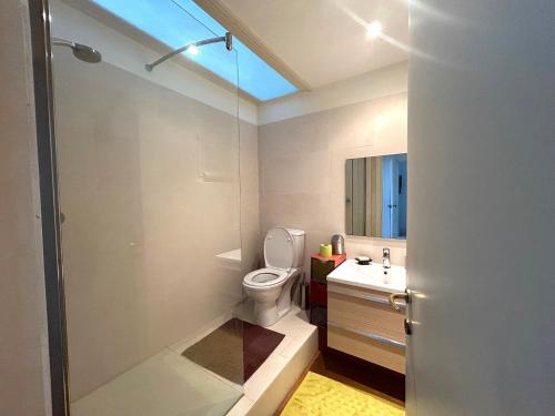 une salle de bain avec toilettes, lavabo et douche dans l'établissement Superbe appartement de 100m2 face à la mer Dans un ancien palace, à Menton