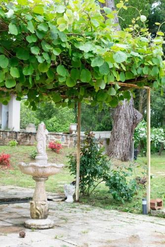 Zahrada ubytování Maison périgourdine de charme
