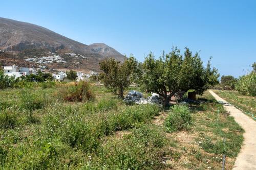 Paesaggio naturale nelle vicinanze della casa vacanze
