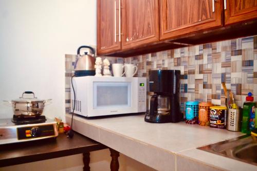 a kitchen counter with a microwave and a stove at House of Sincerity in Maharagama