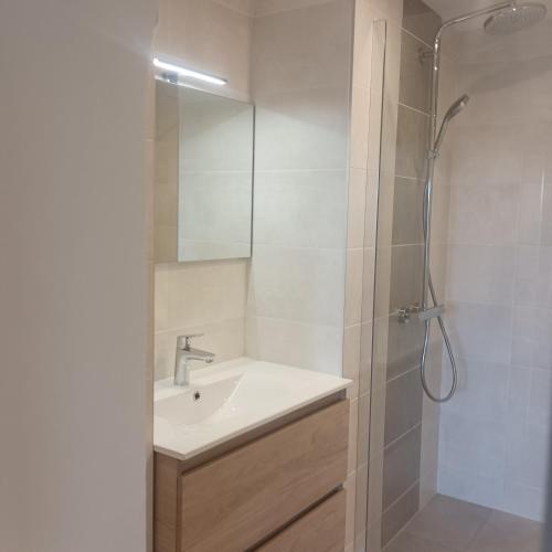 une salle de bain avec un lavabo et une douche avec un miroir dans l'établissement Leboisdieu, à Thizy-les-Bourgs