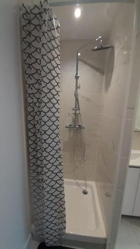 une salle de bain blanche avec une douche et un lavabo dans l'établissement Studio contemporain avec parking gratuit, à Castelnau-dʼEstrétefonds