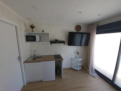 une petite cuisine avec un évier et un micro-ondes dans l'établissement Studio contemporain avec parking gratuit, à Castelnau-dʼEstrétefonds