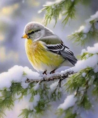 a bird sitting on a tree branch with snow at FS Hotel & villa in Arugam Bay
