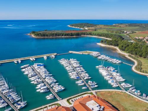 an aerial view of a marina with boats at Apartment Darja by Interhome in Novigrad Istria